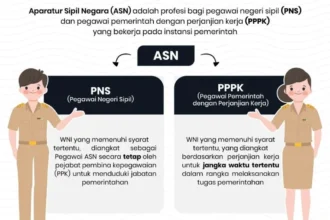 38.524 PNS & PPPK Diusulkan Jadi ASN Pusat, Namun P3K PW Terkendala UU HKPD: Apa Dampaknya?