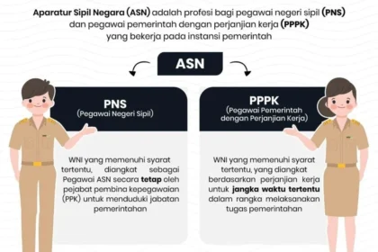 38.524 PNS & PPPK Diusulkan Jadi ASN Pusat, Namun P3K PW Terkendala UU HKPD: Apa Dampaknya?