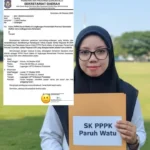 Alih Status PPPK Paruh Waktu Terhambat UU HKPD, Solusi Tunggal Ini Bisa Membuka Jalan