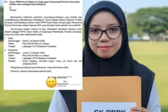 Alih Status PPPK Paruh Waktu Terhambat UU HKPD, Solusi Tunggal Ini Bisa Membuka Jalan