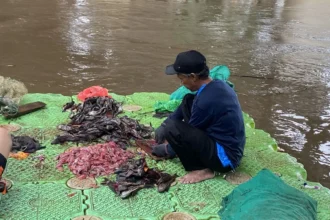 DPRD Soroti Gebrakan Penangkapan Ikan Sapu-Sapu Gubernur Pramono: Lebih dari Sekadar Seremonial