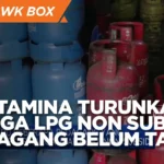 Harga LPG Non-Subsidi Melonjak, UMKM Tertekan: Akumindo & YLKI Peringatkan Beban Tambahan