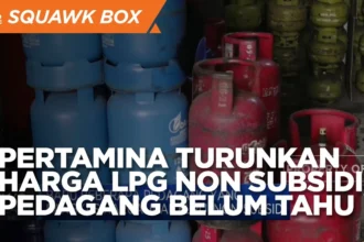 Harga LPG Non-Subsidi Melonjak, UMKM Tertekan: Akumindo & YLKI Peringatkan Beban Tambahan