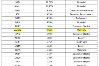 Intip Daftar Saham Konstituen MSCI Indonesia: BBCA, AMMN, GOTO dan Dampak Pembekuan Rebalancing