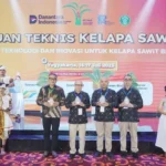 ISPO dan Peremajaan: Kunci Kelapa Sawit Hadapi Tantangan Produktivitas Nasional