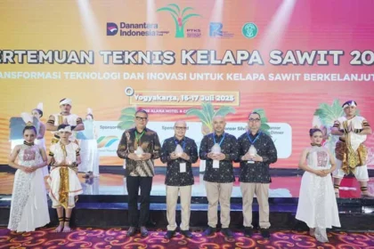 ISPO dan Peremajaan: Kunci Kelapa Sawit Hadapi Tantangan Produktivitas Nasional