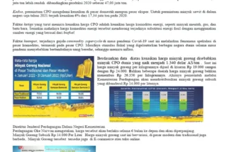 Menguak Penyebab Kenaikan Harga Minyak Goreng di Tengah Stok CPO Melimpah