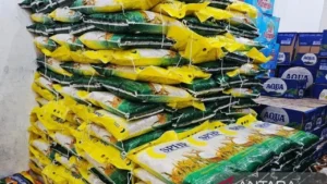 Stok Beras Bulog Terbuka untuk Cek Publik: Jamin Pasokan Aman 6 Bulan di Lubuk Linggau