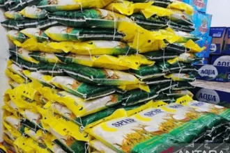 Stok Beras Bulog Terbuka untuk Cek Publik: Jamin Pasokan Aman 6 Bulan di Lubuk Linggau