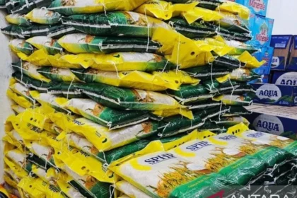 Stok Beras Bulog Terbuka untuk Cek Publik: Jamin Pasokan Aman 6 Bulan di Lubuk Linggau