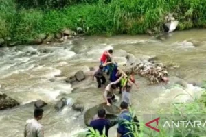 Warga Bogor Geger Penemuan Jasad Perempuan di Pinggir Aliran Sungai Cikumpa