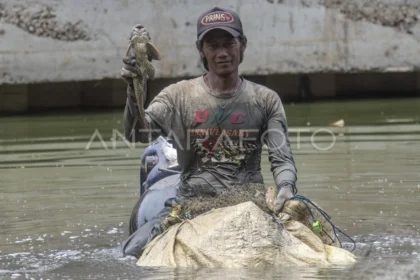 10 Foto Ria Ricis Menangkap Ikan Sapu-sapu di Sungai Ciliwung, Aksi Lingkungan yang Menggugah