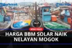 Harga Solar Naik Tajam, Ratusan Nelayan Muara Angke Terpaksa Mengurungkan Layar