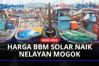 Harga Solar Naik Tajam, Ratusan Nelayan Muara Angke Terpaksa Mengurungkan Layar