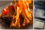 Kebakaran Rumah Anisa Rahma: Penyebab Lilin Usir Lalat dan Dampaknya pada Keluarga