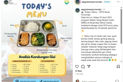 Kejutan di MBG Wonogiri: Puntung Rokok Terselip di Menu Gratis, Apa Penyebabnya?