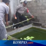 Tragedi Balita Lampung: Kematian Mengguncang di Hotel Mewah dan Kolam Ikan